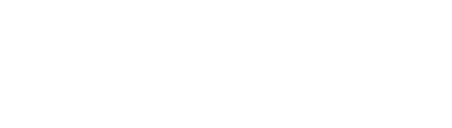 DS Model