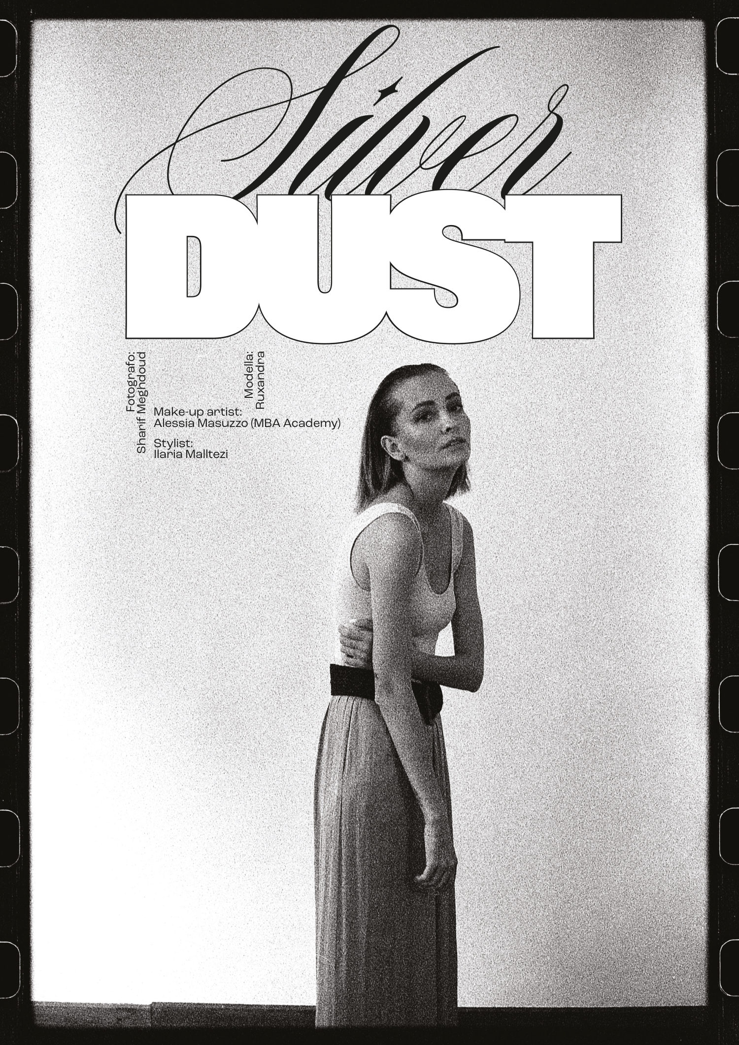 Silver Dust