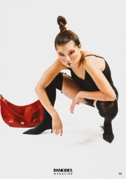 DS Model Management — editorial